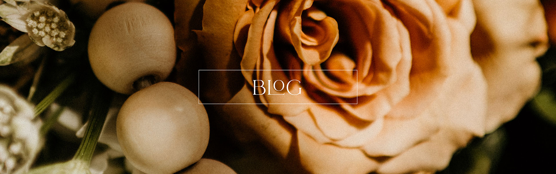 Blog bannner