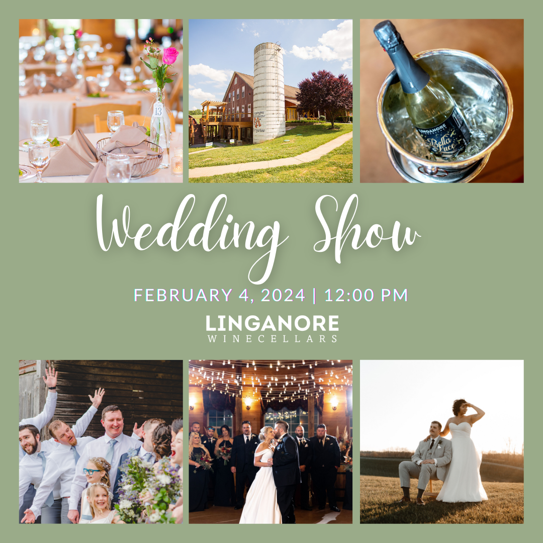Come Meet Us at the Linganore Wedding Show