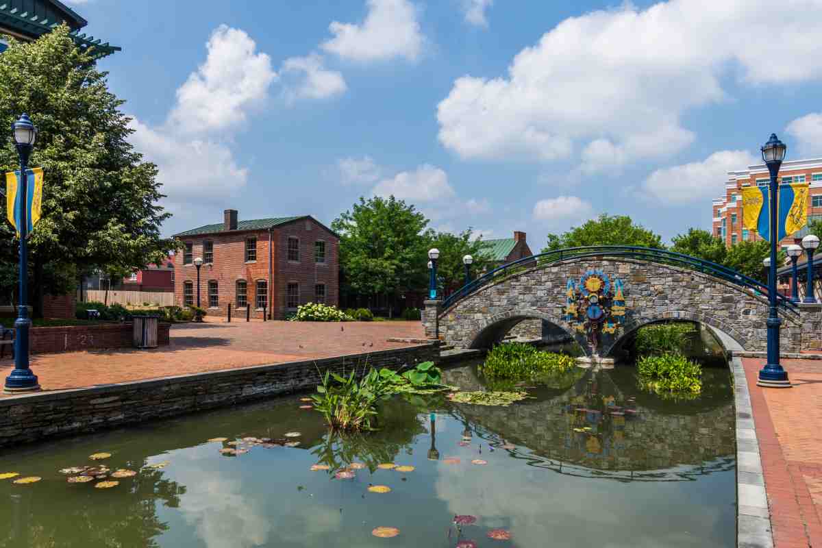 Why Frederick Has the Best Engagement Ring Designers in Maryland