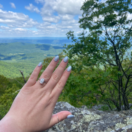 A Proposal with a View
